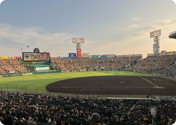 甲子園年間シート